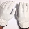 10 Doz Case, Goat Skin Grain Leather Drivers, work safety gloves (PPE), Size L