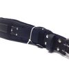 Pack Of 5, 5" Foam Padded Work Belts With Cow Leather Outer Belt Fits Up To 48"