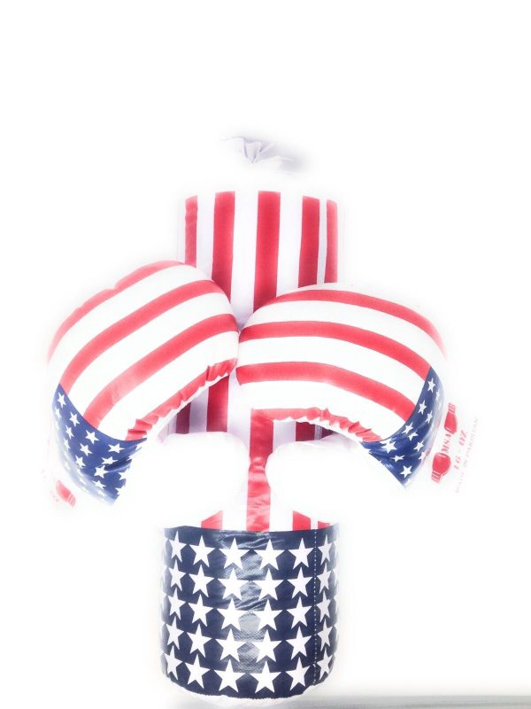 16 oz USA FLAG COLOR BOXING GLOVES & PUNCHING BAG TRAINING SET for Youth