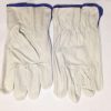 10 Dozen Pr Pack Cow Hide Grain Leather Drivers  golve Natural Color   Large (L)