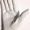 12 Pair Pack, Goat Skin Grain Leather Drivers, work safety gloves (PPE), Size  S