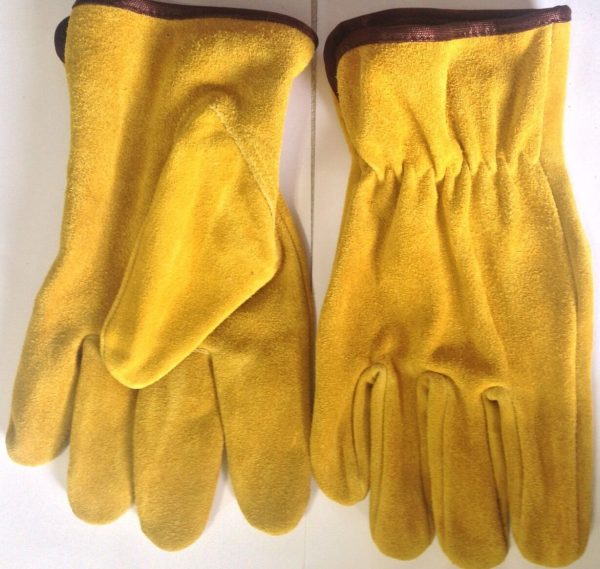 Cow Brushed Leather (Suede) Drivers Glove Large, Golden Color