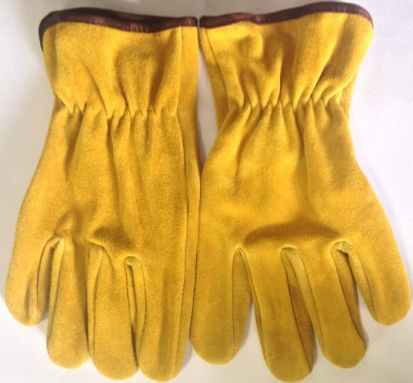 Cow Brushed Leather (Suede) Drivers Glove Large, Golden Color