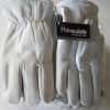 12 Pair , Goat Skin Grain Leather Thinsulate Lining ,  safety gloves (PPE), L